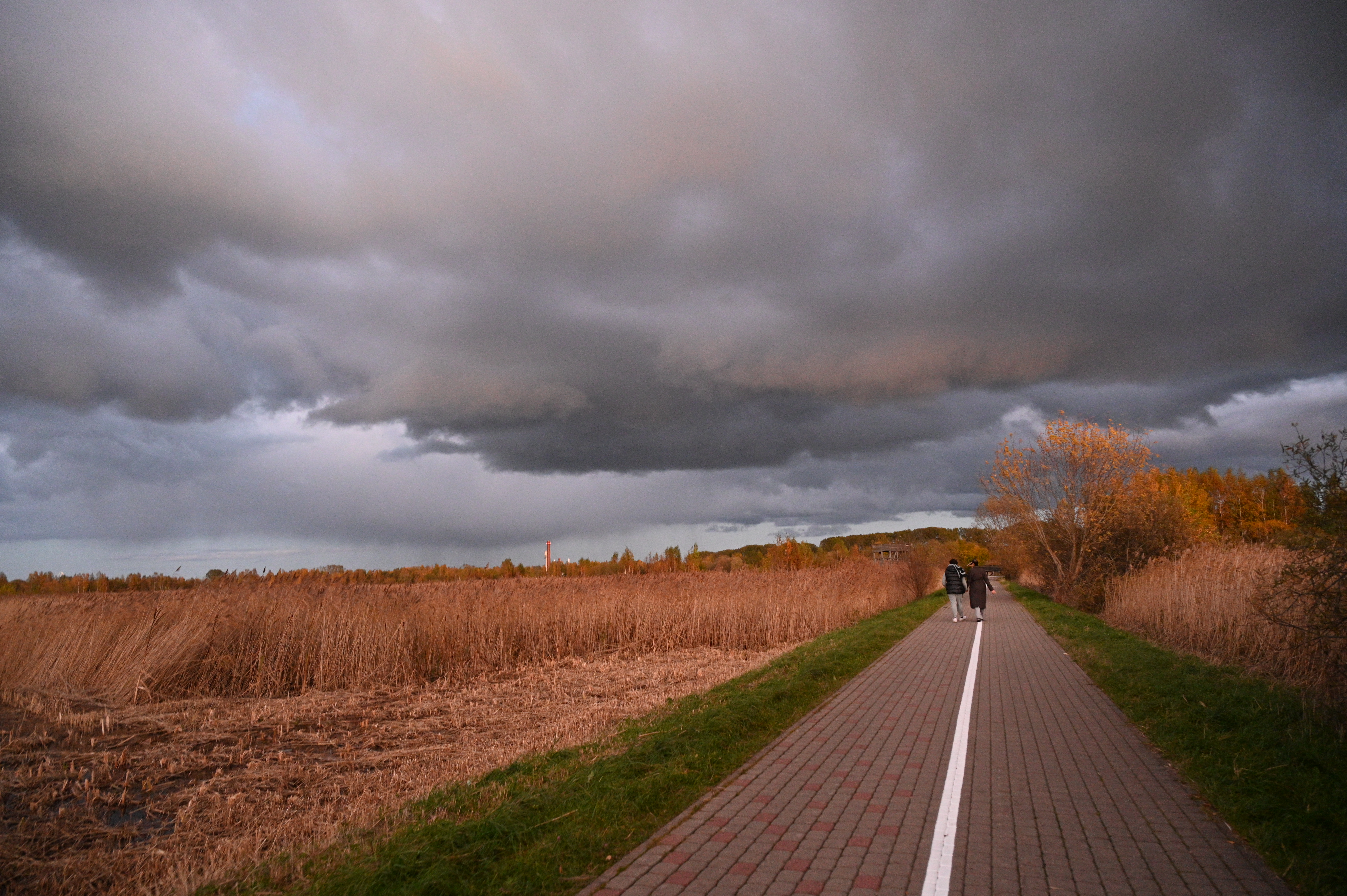 2025/10/18 - walk/DSC_0609.JPG